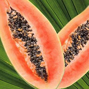 Frizz Control Shampoo with Papaya Butter - Vegan & Natural