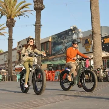 Freebeat Electric Bike 26" Fat Tire 750W Adventure