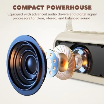 Tomorotec Portable Karaoke Machine with Dual Microphones