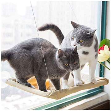 Orangelight Cat Hammock Cat Window Perch Cat Bed Window Mounted Hommock Cat Suction Hanging Pet Window sill Cat Sleeping Bag Cat Window Perch Window Seat Suction Cups Space Saving Cat Hammock