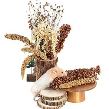 NICERINC PET Natural Ear of Grain Flower&Herb Bedding Mate Habitat Decor, Adding Fun Hamster Accesso...