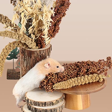 NICERINC Natural Grain Ears for Hamsters & Small Pets