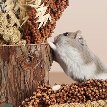 NICERINC Natural Grain Ears for Hamsters & Small Pets