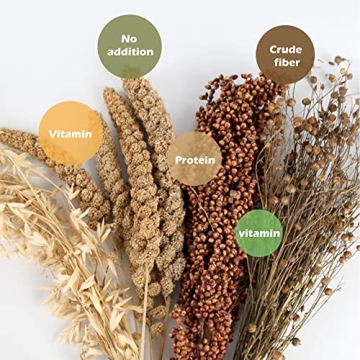 NICERINC Natural Grain Ears for Hamsters & Small Pets