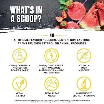 Ambrosia Hydroglyph Intraworkout Formula w/BCAA + EAA + Electrolytes Hydration Powder to Protect Lean Muscle, 0g Sugar Fasting Hydration Drink Mix, Made w/Coconut Water (Strawberry Watermelon)