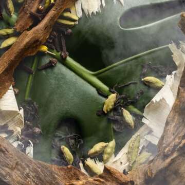 Exotic Jungle Santal Body Mist - Vegan & Cruelty-Free