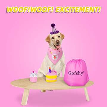 Gofshy Dog Birthday Cake, Dog Birthday Party Supplies, 2PCS Squeaky Dog Toys, Puppy Birthday, Dog Gift Box with Birthday Bandana, Birthday Hat, Cute Dog Toys Large