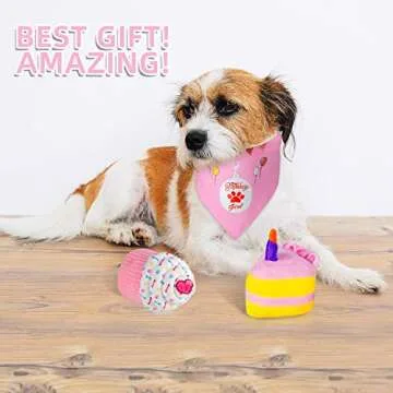 Gofshy Dog Birthday Cake Supply Set for Complete Celebration