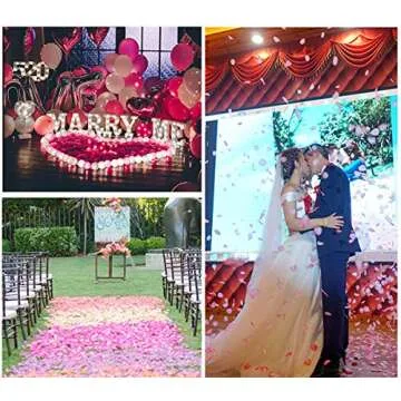 SOLVE 3000 Pcs Artificial Silk Rose Petals for Wedding Party, Anniversary,Romantic Night, Event, Party, Decoration