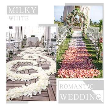 SOLVE 3000 Pcs Artificial Silk Rose Petals for Wedding Party, Anniversary,Romantic Night, Event, Party, Decoration