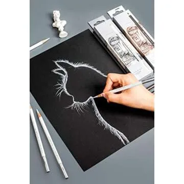 KachiKawa Sketch Highlight Pencil Pen Charcoal White Sketch Pencil Painting Special White Charcoal 12 PCS (White Charcoal Pencil)