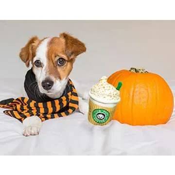 Durable Coffee Cup Dog Toy for Fall Fun