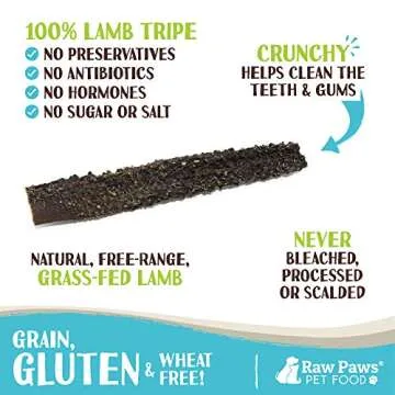 Raw Paws Green Lamb Tripe Sticks for Dogs - All Natural & Healthy Chews (25 Pack)