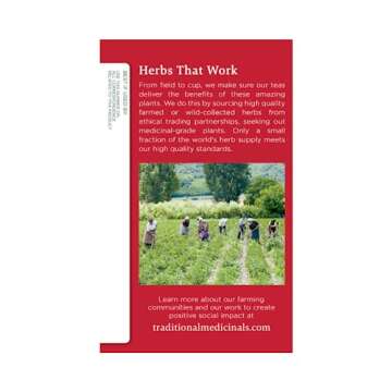 Traditional Medicinals - Breathe Easy Seasonal Tea - Promotes Respiratory Health - 16 Tea Bags