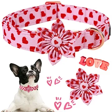 Valentine's Day Dog Collar with Flower - ARING PET