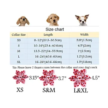 Valentine's Day Dog Collar with Flower - ARING PET