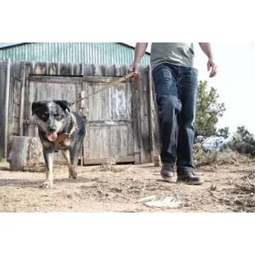 Carhartt Nylon Duck Training Dog Harness - Comfortable Control for Dogs