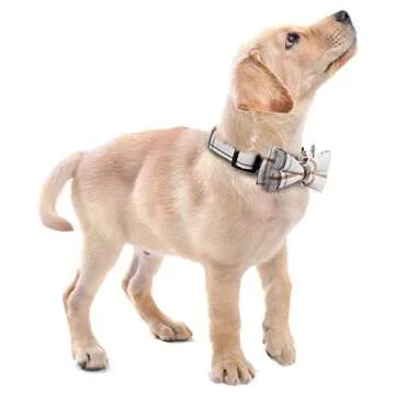 Faleela Soft Bowtie Dog Collar for Small to Medium Pets
