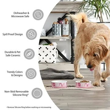 Bone Dry Paw & Patch Ceramic Pet Bowls Set of 2