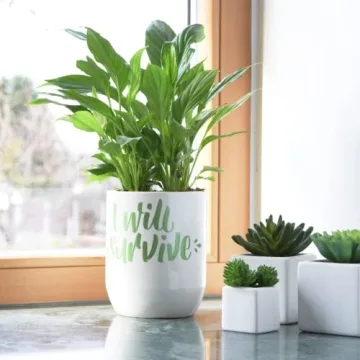 15 Fine Posca Paint Markers Set for Creative Projects