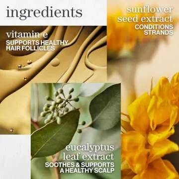 Pureology Pure Volume Conditioner | For Flat, Fine, Color Treated or Natural Hair | Adds Volume & Body | Lightweight Conditioner | Sulfate Free Conditioner| Vegan