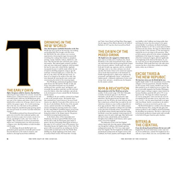 The New Craft of the Cocktail - 500 Master Mashup Recipes