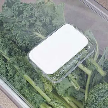 GREENTEC Fridge Organizer，Stackable Storage Container, Refrigerator Drawer, Pull Out Organization Bin for Kitchen, Closet, Sliding Freezer Organizer, Medium