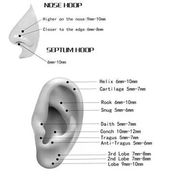 ORANGELOVE Hypoallergenic Nose Rings 20G 18G 16G 14G 316l Surgical Steel Piercing Jewelry Hinged Segment Ring Body Piercing Nose Hoop Lip Rings Nose Helix Cartilage Rook Earrings