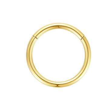 ORANGELOVE Hypoallergenic Nose Rings 20G 18G 16G 14G 316l Surgical Steel Piercing Jewelry Hinged Segment Ring Body Piercing Nose Hoop Lip Rings Nose Helix Cartilage Rook Earrings