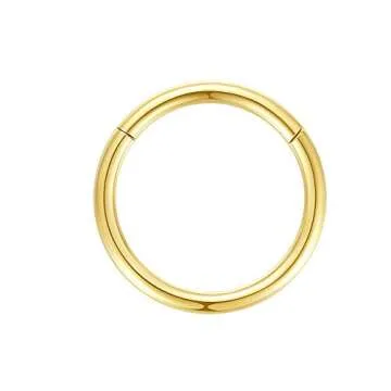 ORANGELOVE Hypoallergenic Nose Rings 20G 18G 16G 14G 316l Surgical Steel Piercing Jewelry Hinged Segment Ring Body Piercing Nose Hoop Lip Rings Nose Helix Cartilage Rook Earrings