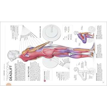 Science of Strength Training: Understand the anatomy and physiology to transform your body (DK Science of)
