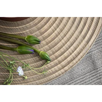 Stylish COZAYH Coffee Table Set for Modern Living Rooms