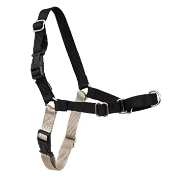 Ultimate No-Pull Dog Harness to Control Leash Pulling