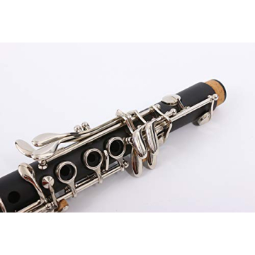 Yinfente C Clarinet Professional Ebonite Wood Quality