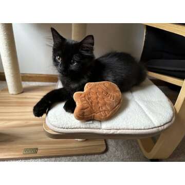 munchiecat Japanese Taiyaki Toy with Organic Catnip | Refillable, Washable for Cats and Kittens | Crinkles