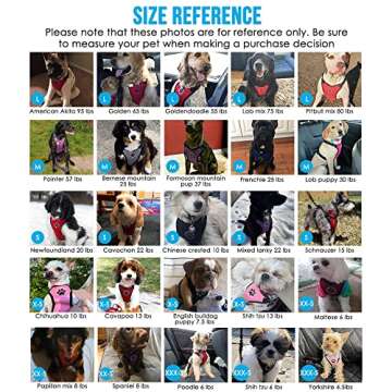 SlowTon Dog Seat Belt Harness for Car, Dog Car Harness Adjustable Mesh Breathable & Dog Seatbelt Safety Tether with Elastic Bungee for Small Medium Large Pets(Red, Single Clip, M)