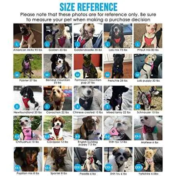 SlowTon Dog Seat Belt Harness for Car, Dog Car Harness Adjustable Mesh Breathable & Dog Seatbelt Safety Tether with Elastic Bungee for Small Medium Large Pets(Red, Single Clip, M)