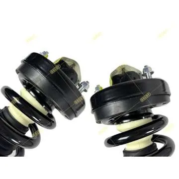 OREDY Front Struts Replacement for 2003 2004 2005 2006 Ford Expedition Lincoln Navigator with Coil Spring Assembly - 171369