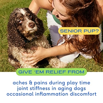 Native Pet Dog Joint Relief Chews - Natural Arthritis Relief