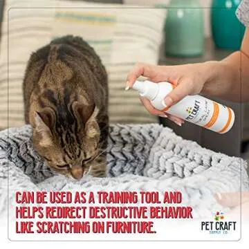 Pet Craft Supply Premium Maximum Potent All Natural Catnip for Cats USA Grown & Harvested 8 oz Value Spray Bottle Great for Training Redirecting Bad Behaviors 8oz