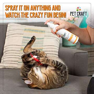 Pet Craft Supply Premium Maximum Potent All Natural Catnip for Cats USA Grown & Harvested 8 oz Value Spray Bottle Great for Training Redirecting Bad Behaviors 8oz