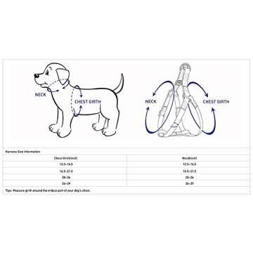 Blueberry Pet Essentials Matching Large Dog Harness | Adjustable Classic Solid Nylon Color No Pull H...