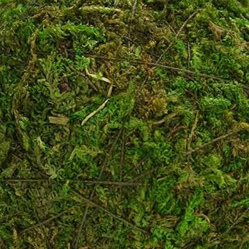 BYHER Natural Green Moss Decorative Balls - 12 Pack