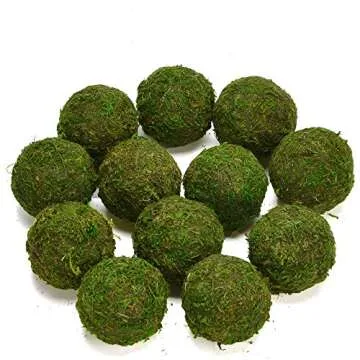BYHER Natural Green Moss Decorative Balls - 12 Pack
