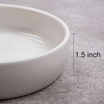 Ceramic Pet Bowl for Cats - Durable and Stylish Feeding Dish