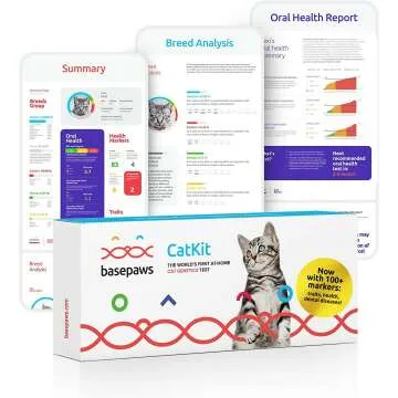Basepaws Cat DNA Test for Health & Breed Discovery
