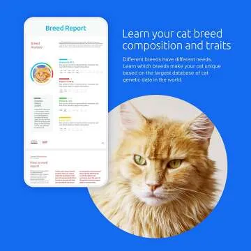 Basepaws Cat DNA Test for Health & Breed Discovery