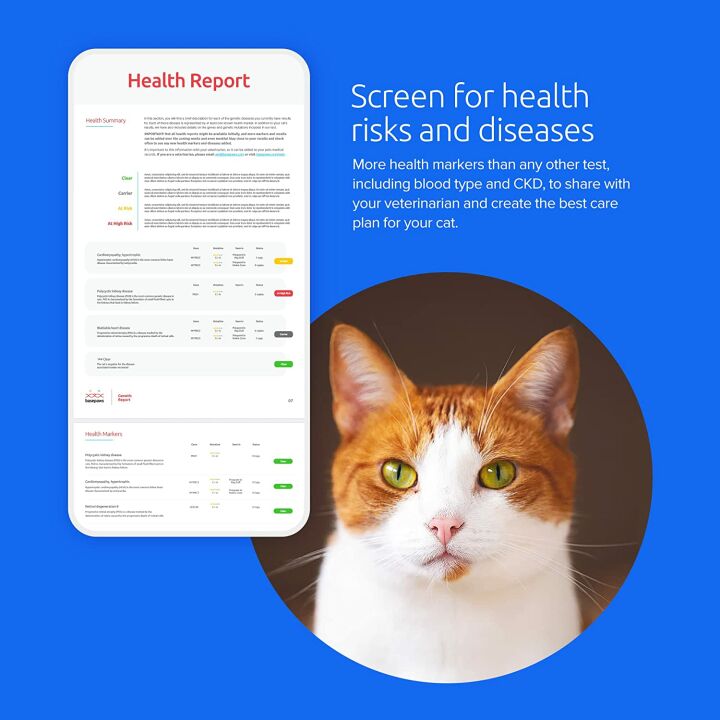 Basepaws Cat DNA Test for Health & Breed Discovery