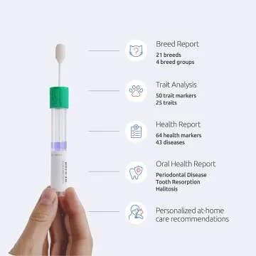Basepaws Cat DNA Test for Health & Breed Discovery