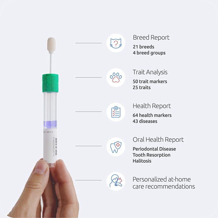 Basepaws Cat DNA Test for Health & Breed Discovery